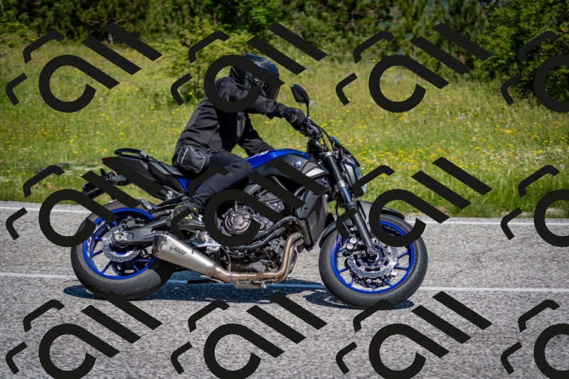 202506081050-DSC_5928_c2