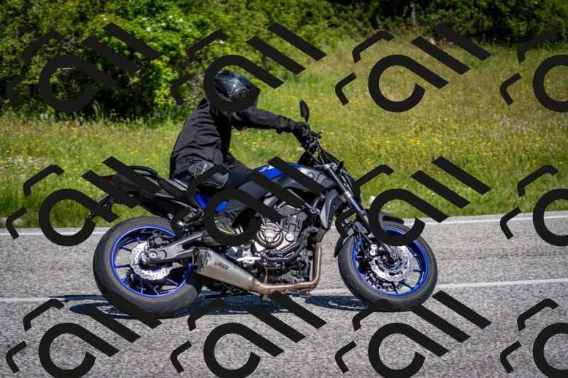 202506081050-DSC_5929_c2