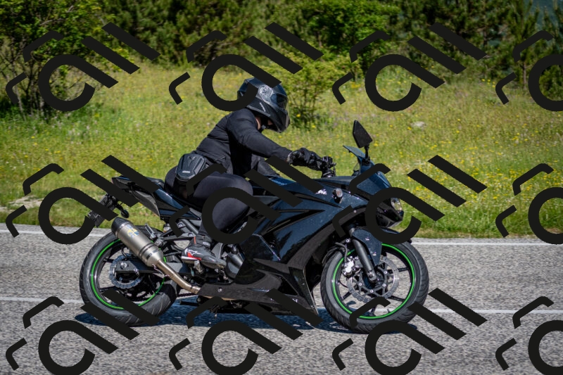 202506081050-DSC_5931_c2