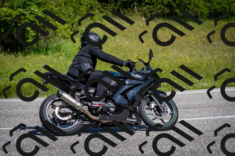 202506081050-DSC_5932_c2