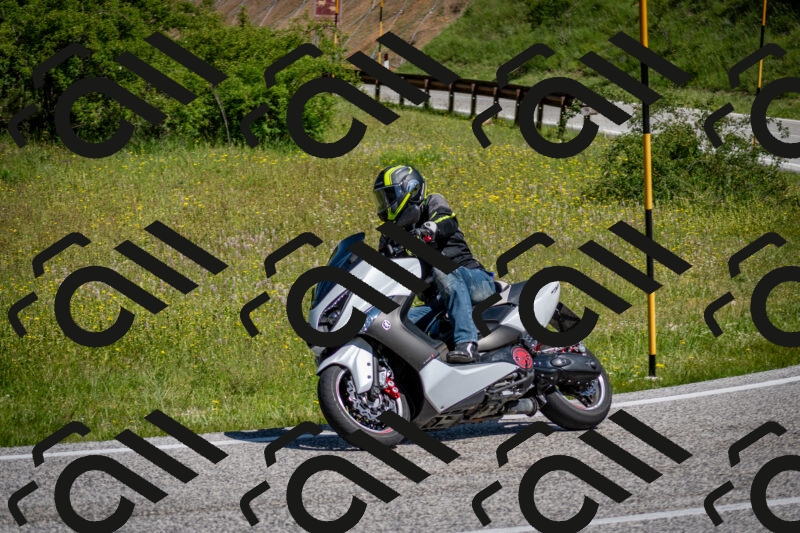 202506081052-DSC_5950_c2