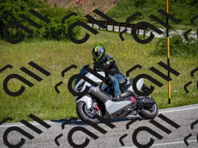 202506081052-DSC_5950_c2