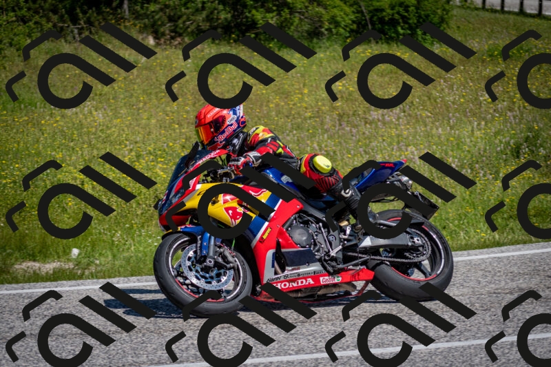 202506081052-DSC_5953_c2