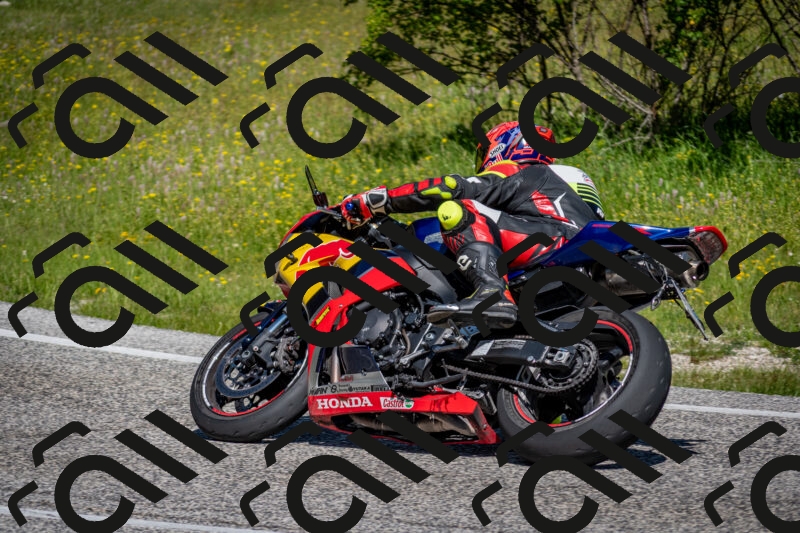 202506081052-DSC_5954_c2