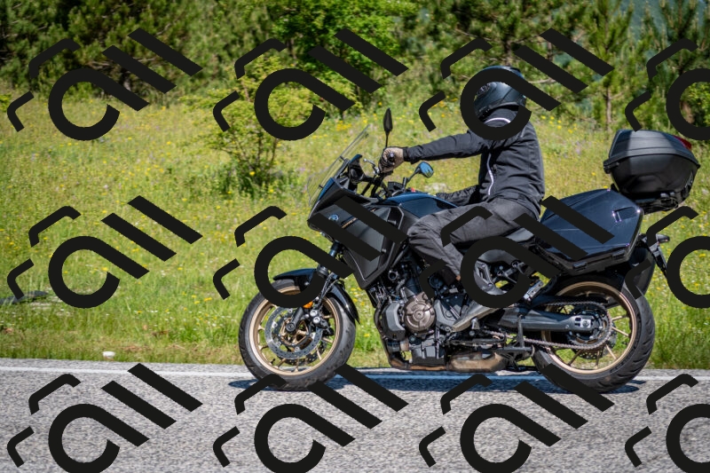 202506081054-DSC_5972_c2