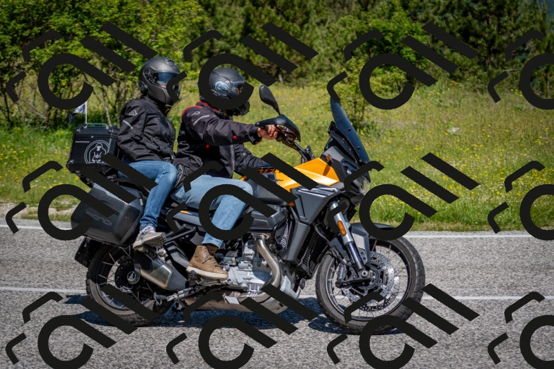 202506081055-DSC_5980_c2