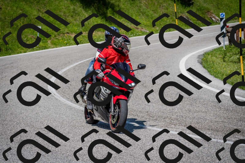 202506081055-DSC_5983_c2