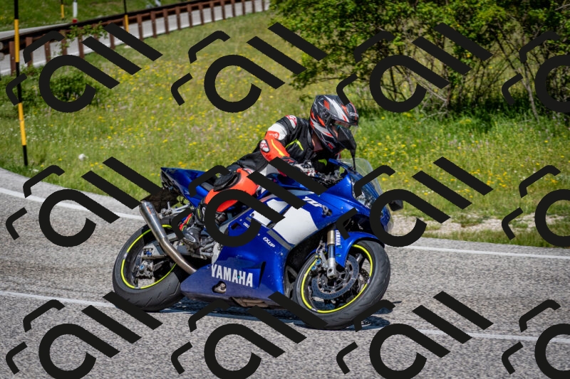 202506081055-DSC_5985_c2