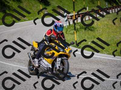 202506081055-DSC_5987_c2