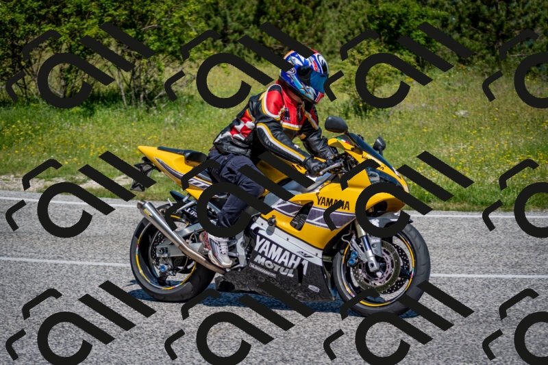 202506081055-DSC_5988_c2