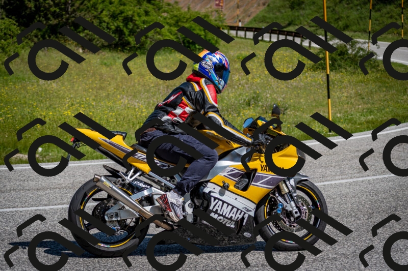 202506081055-DSC_5989_c2