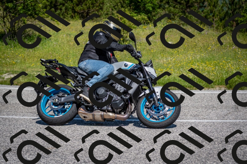 202506081058-DSC_6000_c2