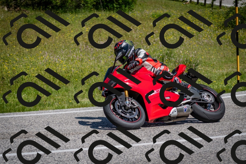 202506081059-DSC_6007_c2