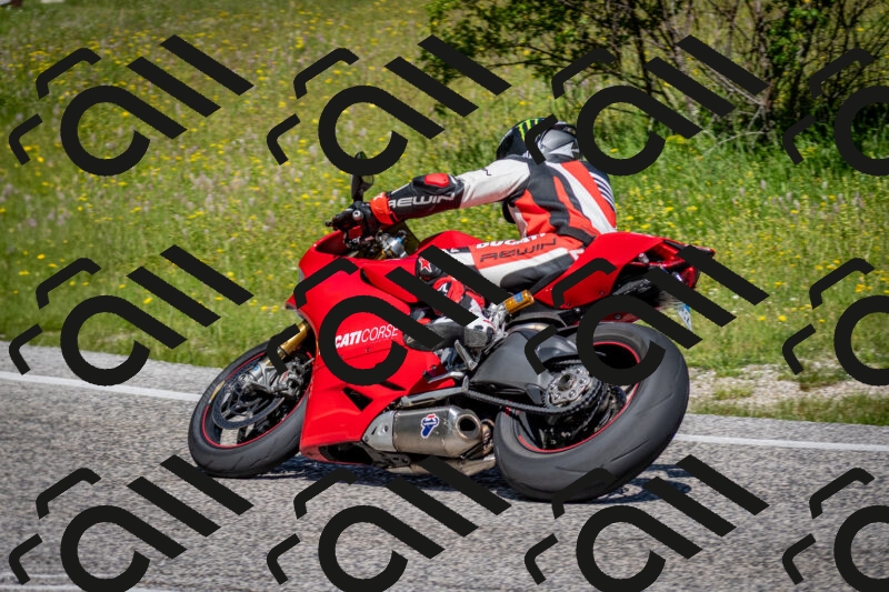 202506081059-DSC_6009_c2