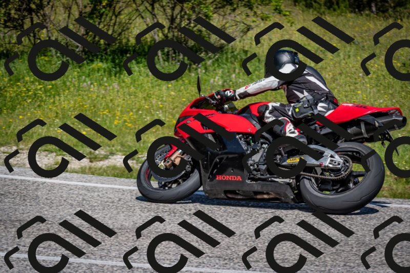 202506081059-DSC_6012_c2