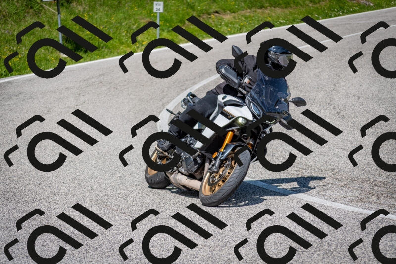 202506081059-DSC_6016_c2