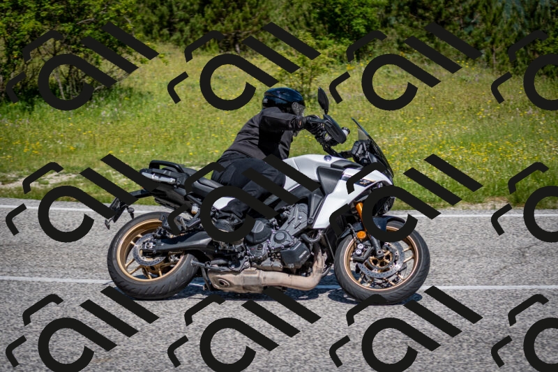 202506081059-DSC_6017_c2