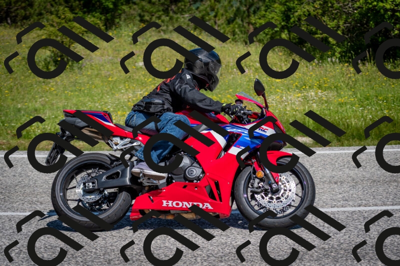 202506081059-DSC_6020_c2