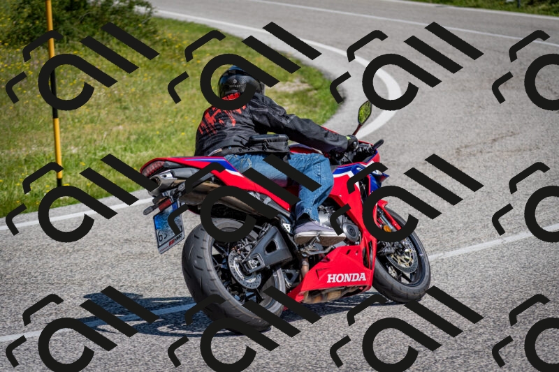 202506081059-DSC_6021_c2