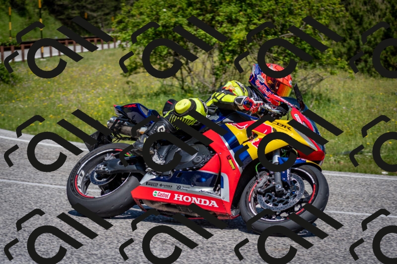 202506081100-DSC_6025_c2