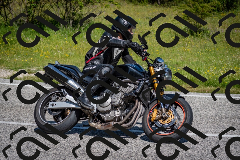 202506081103-DSC_6044_c2