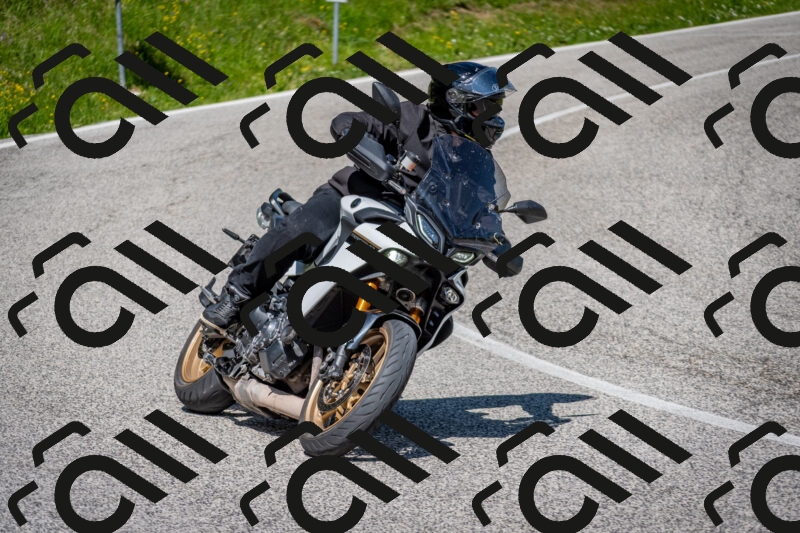 202506081103-DSC_6050_c2