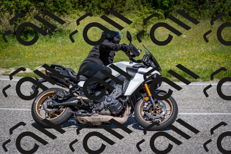 202506081103-DSC_6051_c2