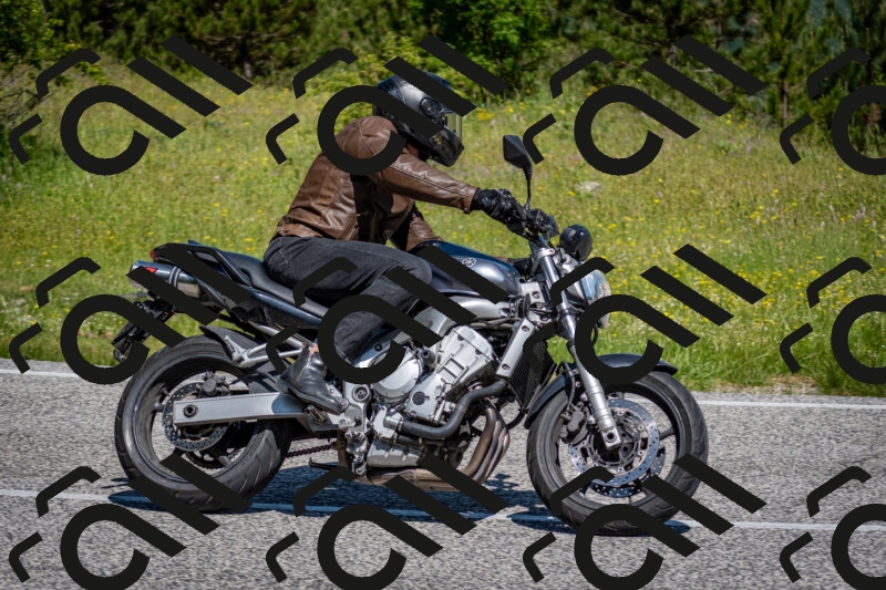 202506081107-DSC_6074_c2