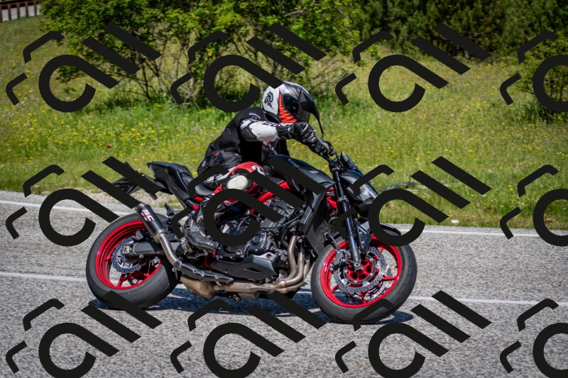 202506081109-DSC_6102_c2