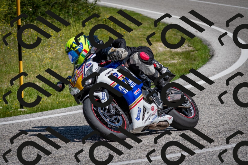 202506081111-DSC_6111_c2