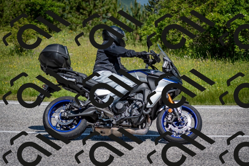 202506081112-DSC_6131_c2