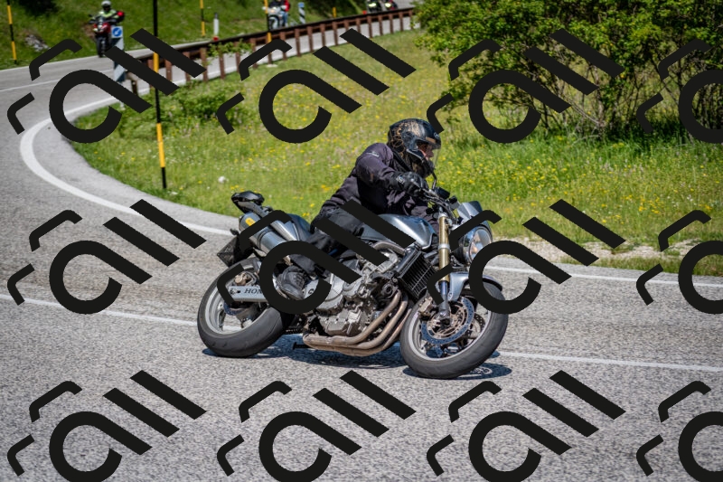 202506081112-DSC_6132_c2