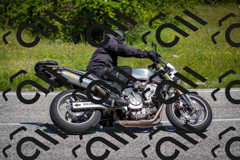 202506081112-DSC_6133_c2