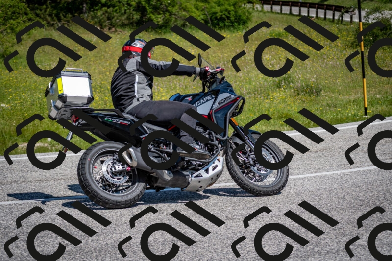 202506081112-DSC_6135_c2