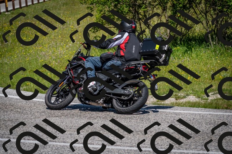 202506081112-DSC_6145_c2