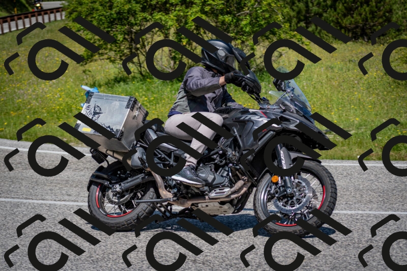 202506081113-DSC_6154_c2