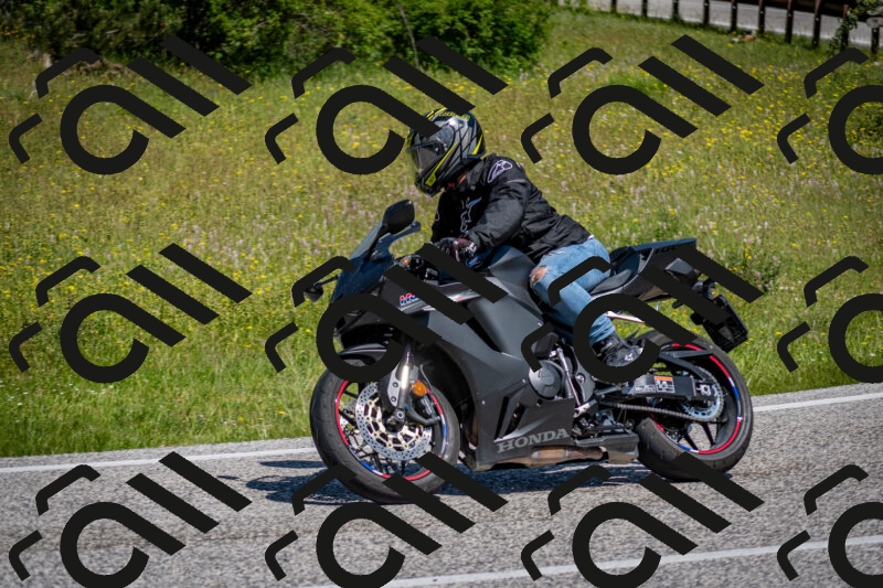 202506081115-DSC_6188_c2