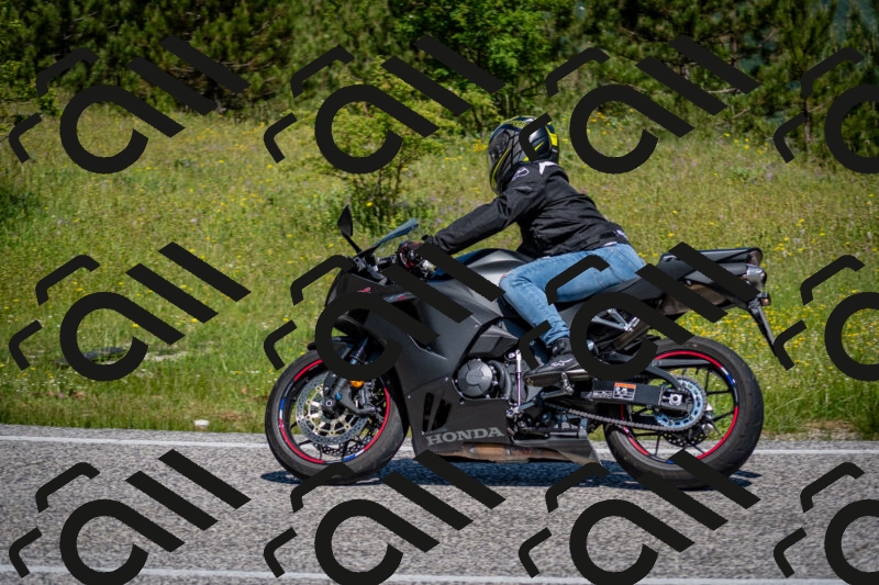 202506081115-DSC_6189_c2