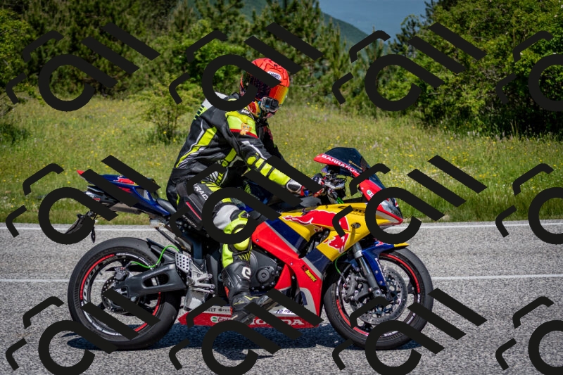 202506081119-DSC_6218_c2