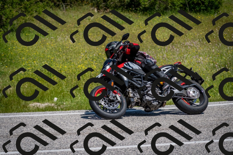 202506081121-DSC_6227_c2