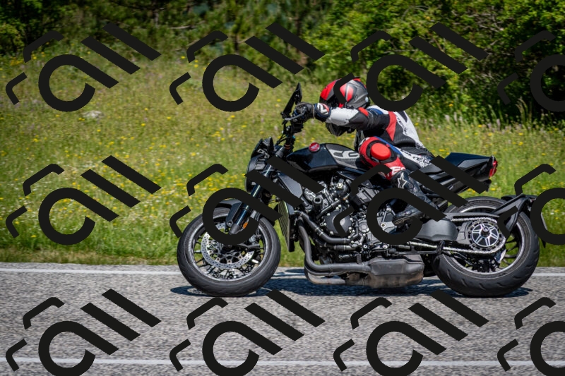 202506081121-DSC_6231_c2