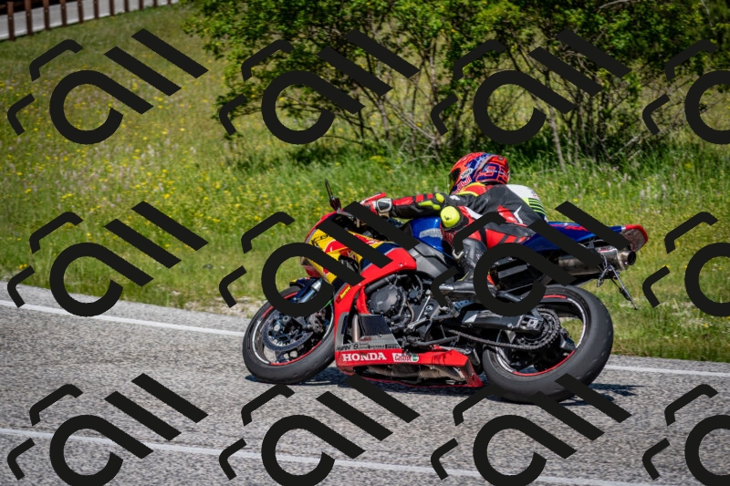 202506081121-DSC_6233_c2