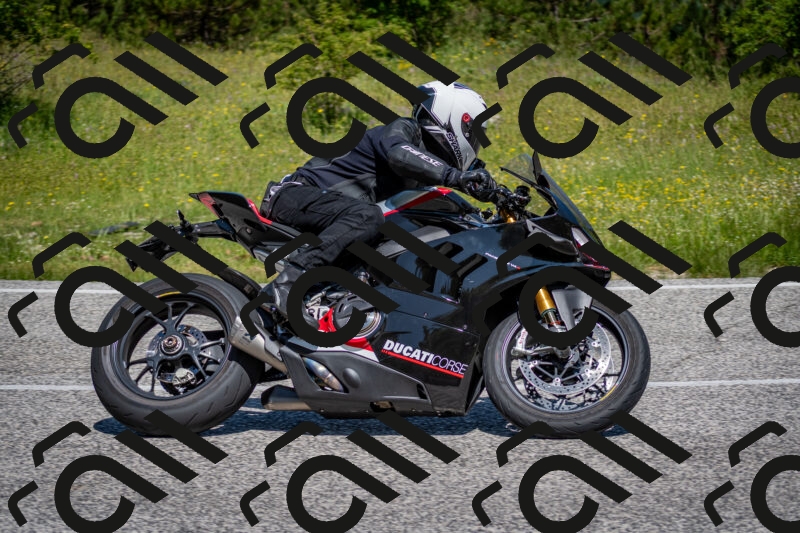 202506081124-DSC_6258_c2