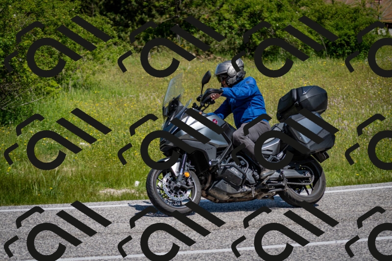 202506081124-DSC_6267_c2