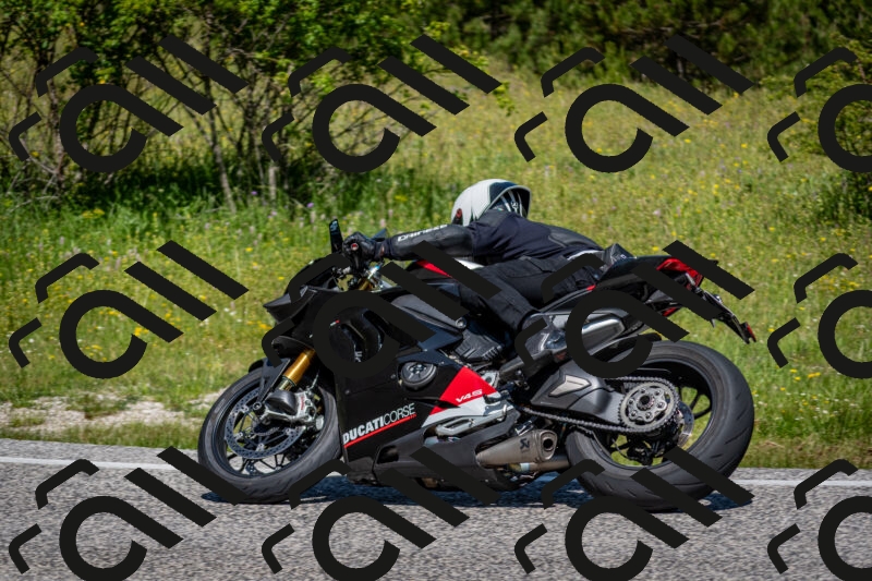 202506081125-DSC_6273_c2