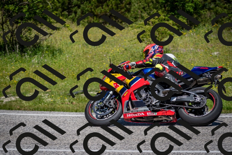 202506081125-DSC_6282_c2