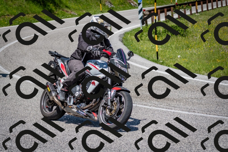 202506081125-DSC_6285_c2