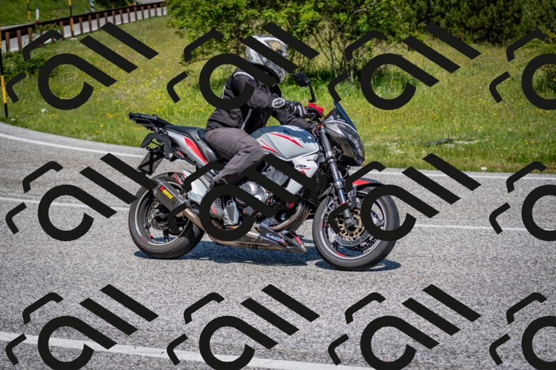 202506081125-DSC_6286_c2