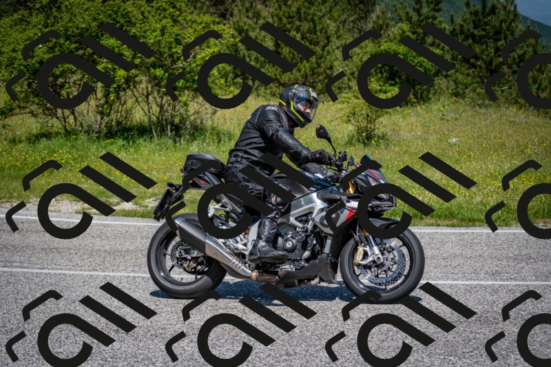 202506081125-DSC_6287_c2