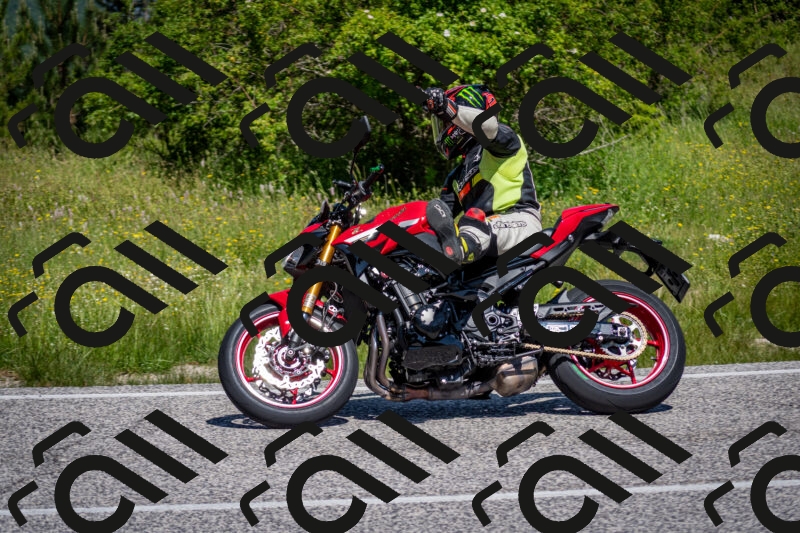 202506081126-DSC_6295_c2